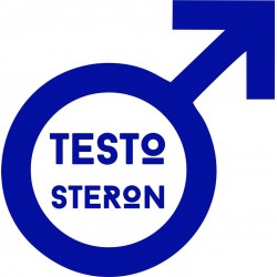 Koszulka męska - Testosteron